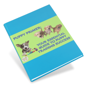 Puppy Primer: Your Essential Guide to Puppy Training Success