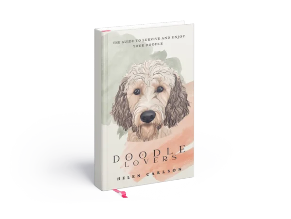 Doodle Ebook Mockup