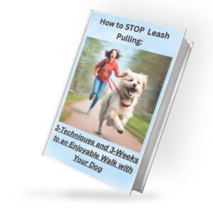 How to STOP Leash Pulling