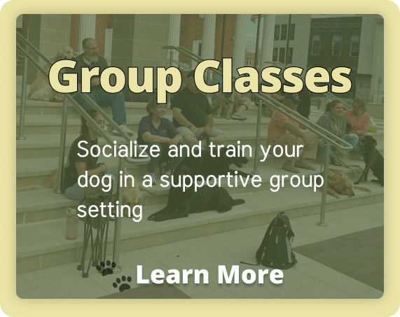 Group classes service button
