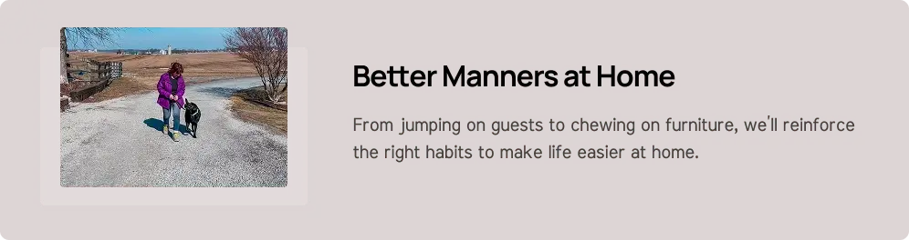 Better manners at home: Good Dog Paws Day & Train