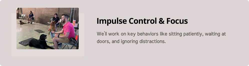 Impulse control : Kyde group training photo