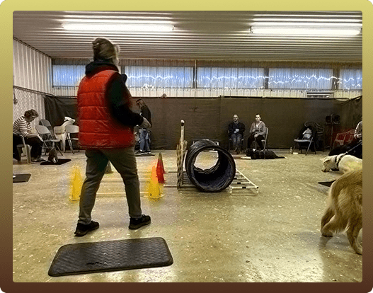 Helen training a class indoors at Good Dog Paws