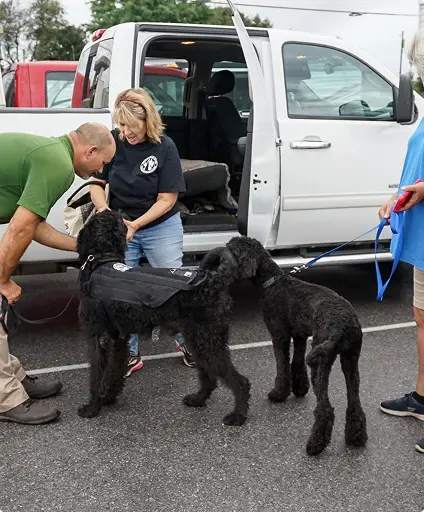 Helen (Owner) tending to service dogs
