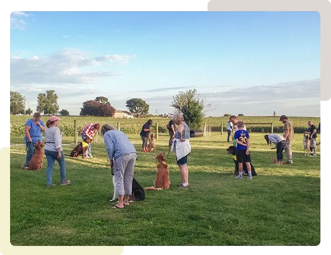 Helen Training Several dogs and their owners at Group Class