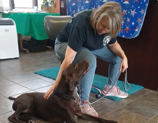 Helen praising chocolate lab