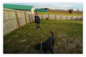 Helen training at Good Dog Paws Facility