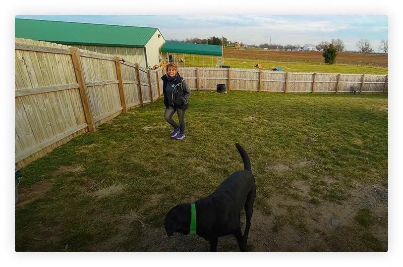 Helen training at Good Dog Paws Facility