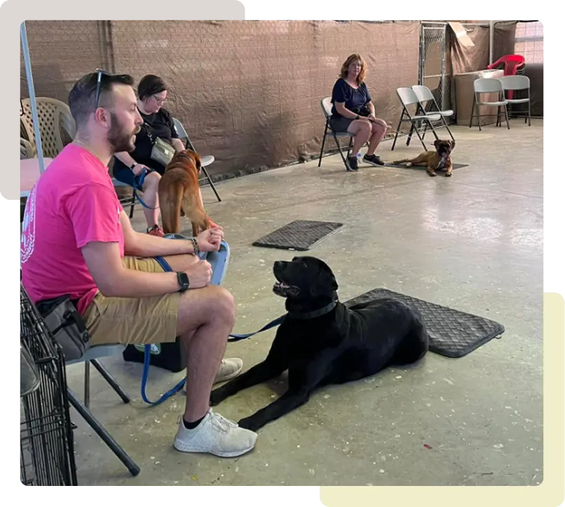 Kyde training at Good Dog Paws Facility